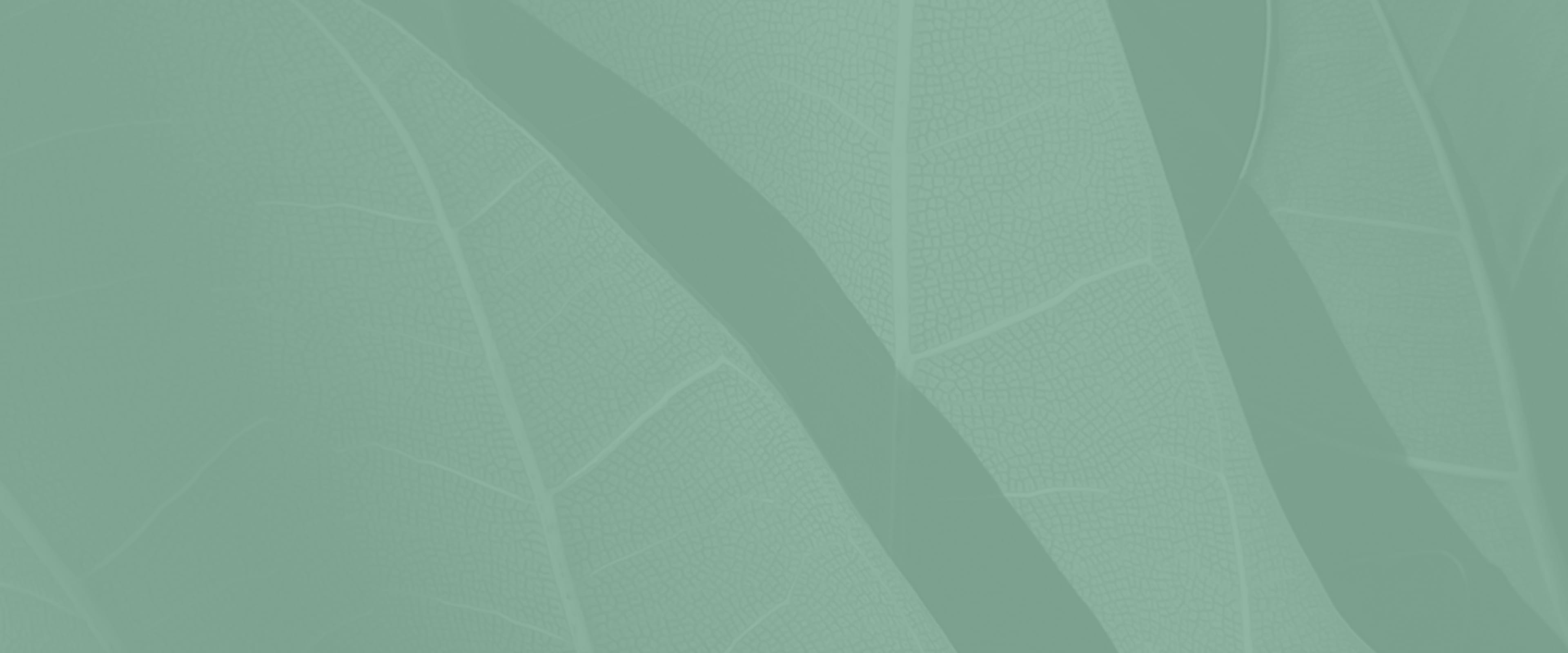 Banner media