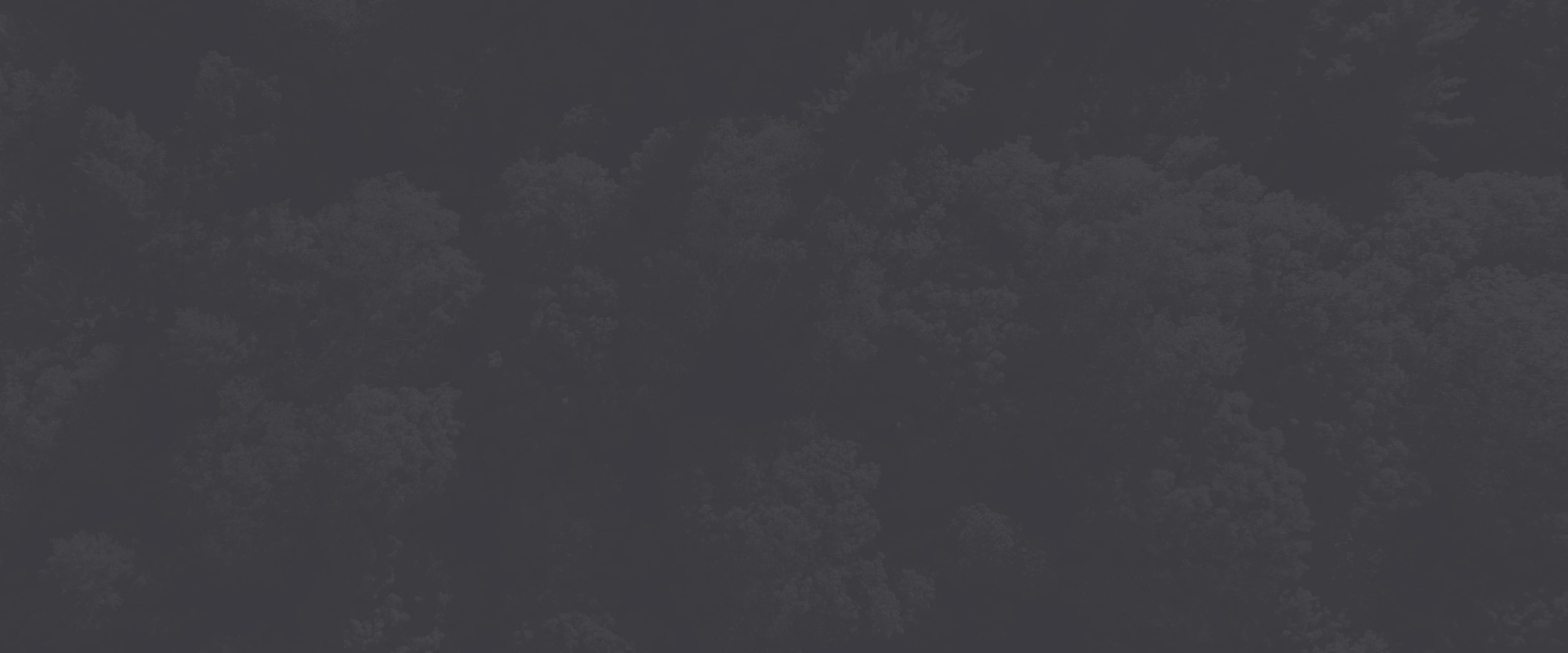 Banner media